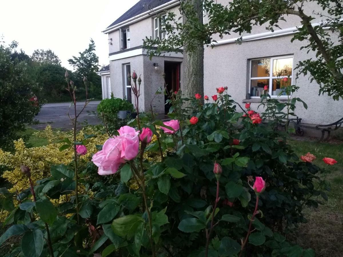 Lisieux House On Lough Neagh Bed & Breakfast Aghalee Luaran gambar